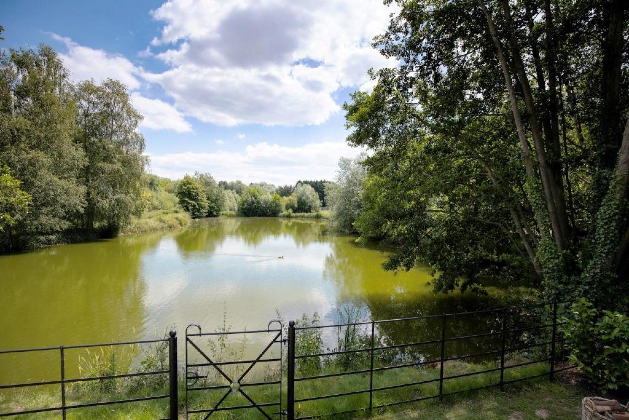 view of a lake surrounded by trees and a blue sky with some cloud cover